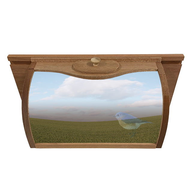 Coveside In-House Breadbox Window Bird Feeder w/ Mirror