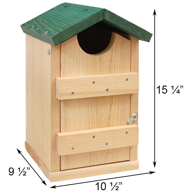 Songbird Essentials Screech Owl and Kestrel House