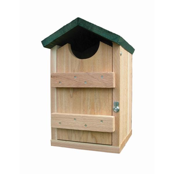 Songbird Essentials Screech Owl and Kestrel House