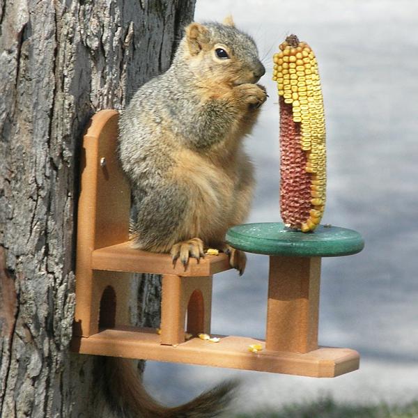 Recycled Poly Squirrel Feeder Table & Chair