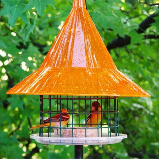 Sky Cafe Oriole Feeder