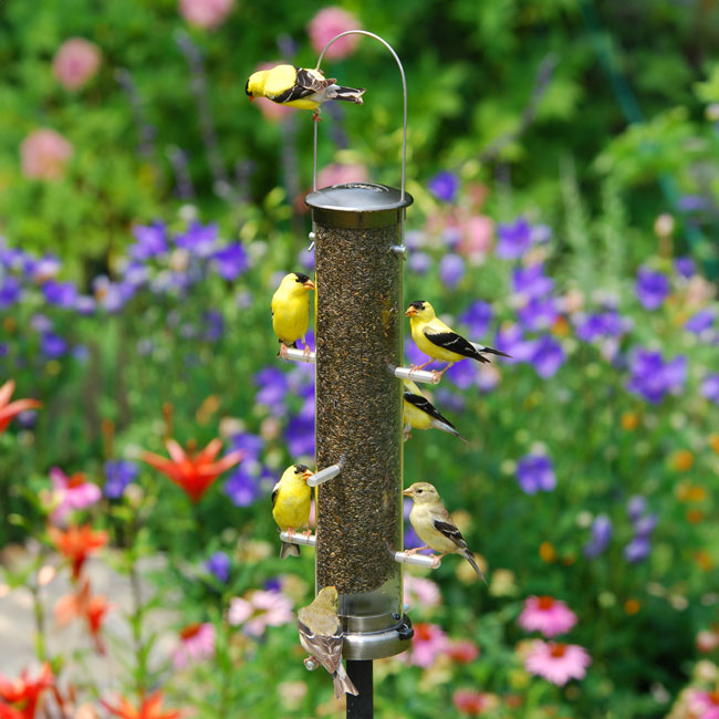 Aspects Thistle Tube Wild Bird Feeder, Medium, Nickel