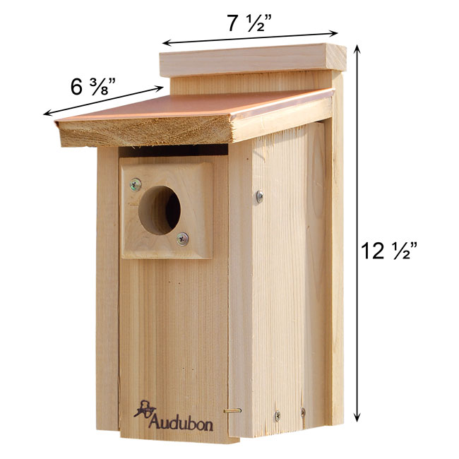 Audubon Coppertop Bluebird House