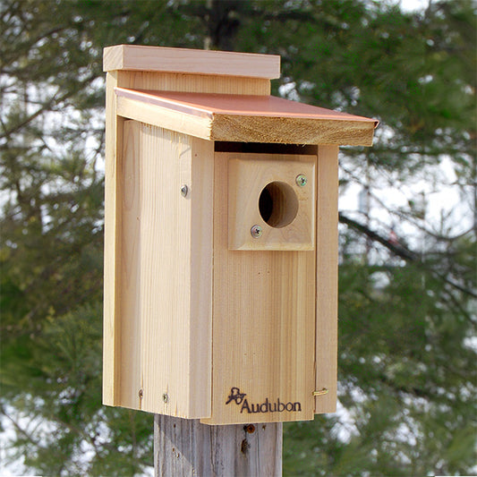 Audubon Coppertop Bluebird House