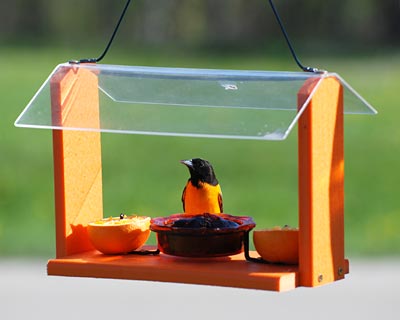 Audubon Recycled Plastic Oriole & Bluebird Feeder