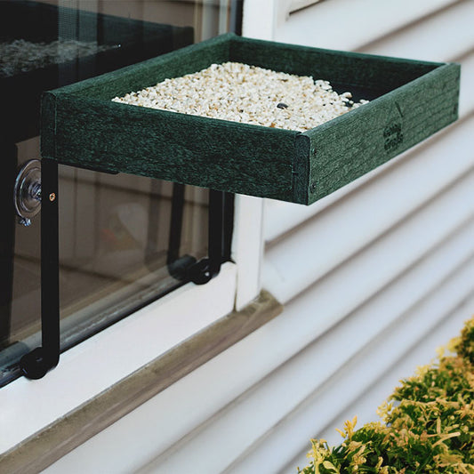 Audubon Going Green Window Bird Feeder