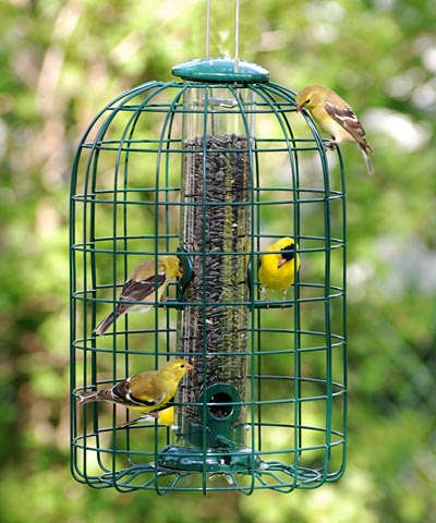 Audubon Squirrel-Resistant Caged Tube Bird Feeder