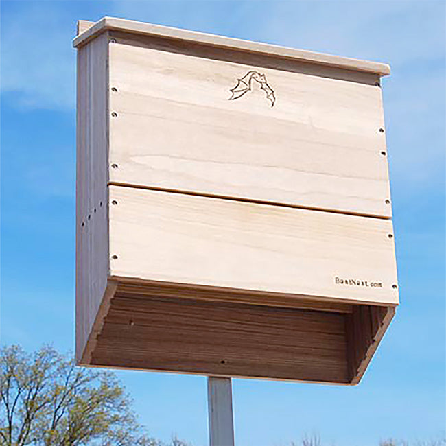 BestNest Five-Celled Bat House, 500 bats