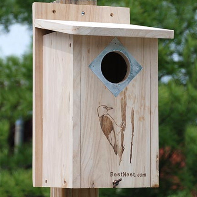 BestNest Classic Three-Woodpecker House