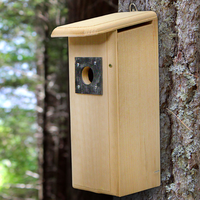 Coveside Downy Woodpecker House