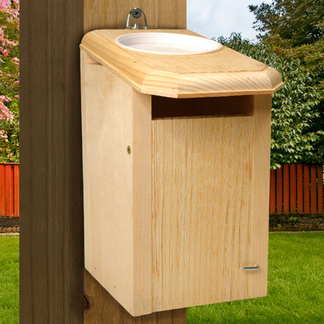 Coveside Sparrow-Resistant Bluebird House with Open Top