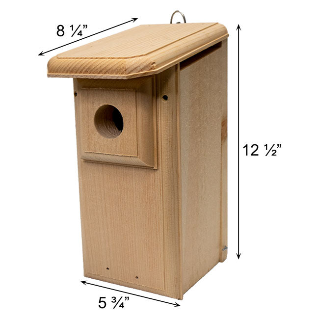 Coveside Two-Sided Observation Eastern Bluebird House