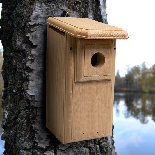 Coveside Two-Sided Observation Eastern Bluebird House