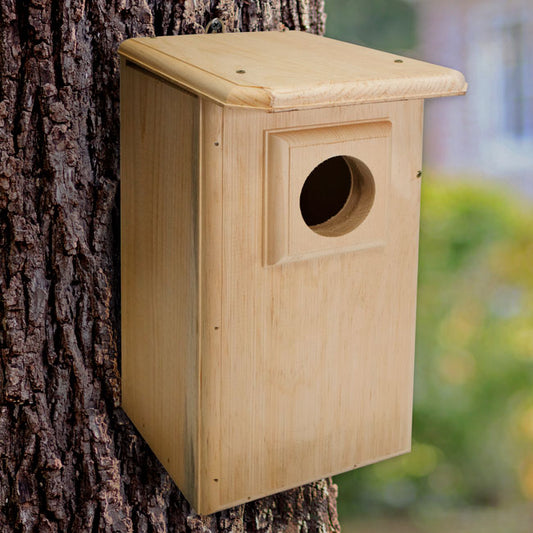 Coveside Saw-Whet and Screech Owl House