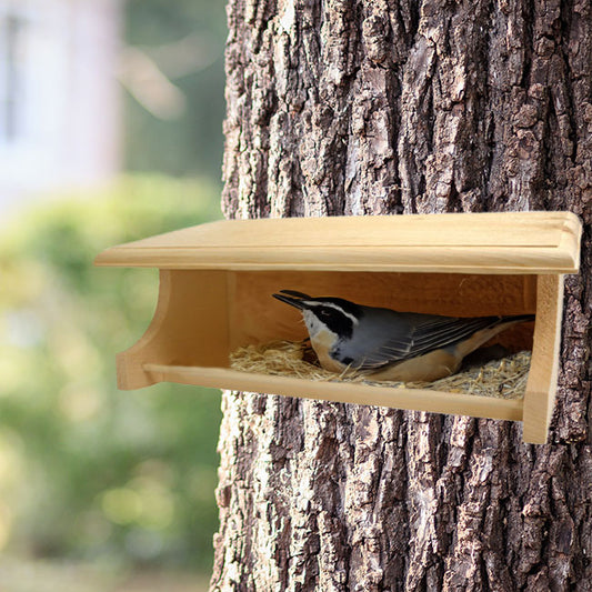 Coveside Covered Platform Bird Shelter