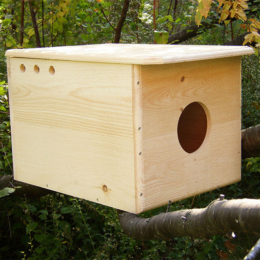 Coveside Barn Owl House