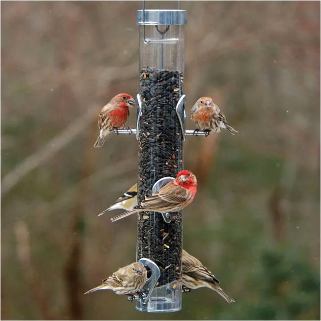 Droll Yankees A-6 Ring Pull Bird Feeder