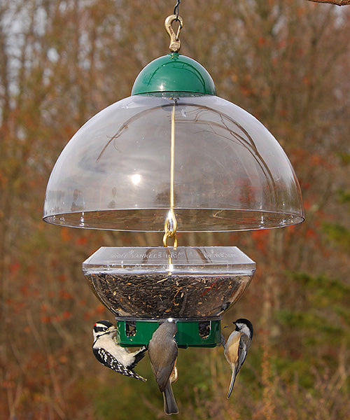 Droll Yankees Big Top Squirrel Resistant Bird Feeder, Green