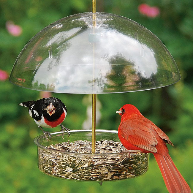 Droll Yankees Seed Saver Domed Platform Bird Feeder