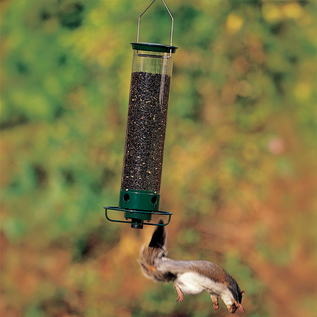 Droll Yankees Yankee Flipper Squirrel Proof Bird Feeder