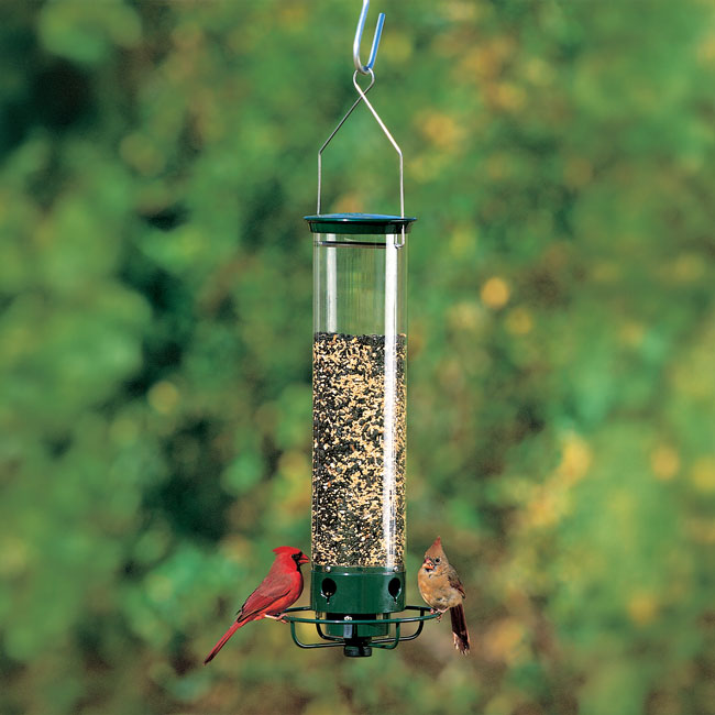 Droll Yankees Yankee Flipper Squirrel Proof Bird Feeder