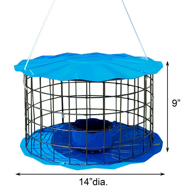 Erva Caged Bluebird Feeder, Blue