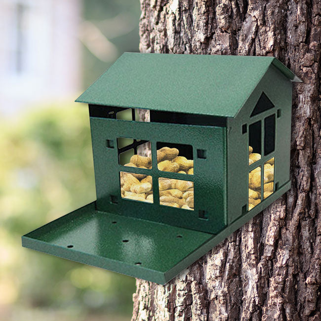 Erva Food Pantry Squirrel Feeder, Green