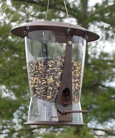 More Birds Squirrel X-2 Squirrel Proof Bird Feeder