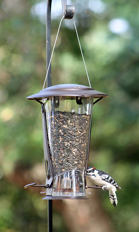 More Birds Squirrel X-2 Squirrel Proof Bird Feeder