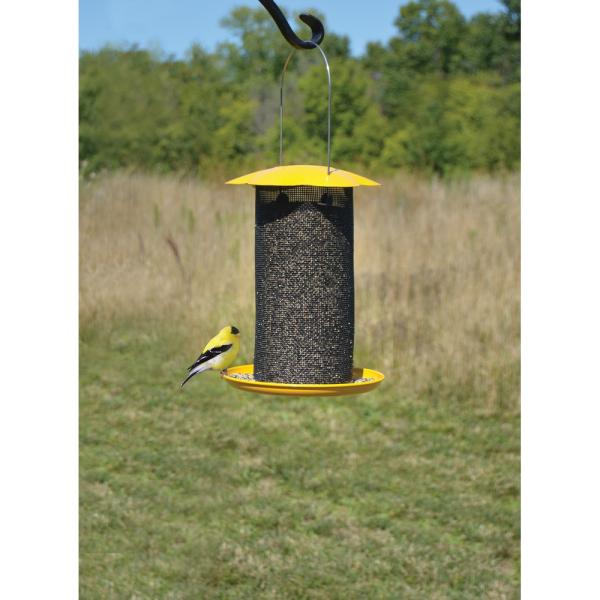 Mammoth Yellow Thistle Feeder