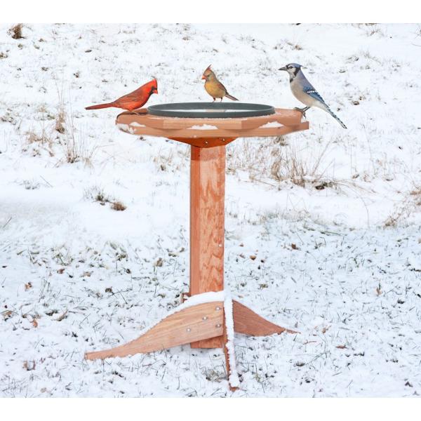 Songbird Essentials Heated Bird Bath