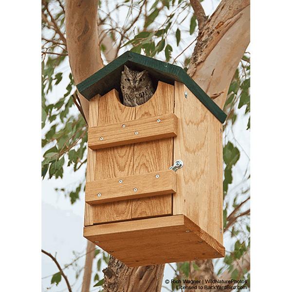 Songbird Essentials Screech Owl  and Kestrel House