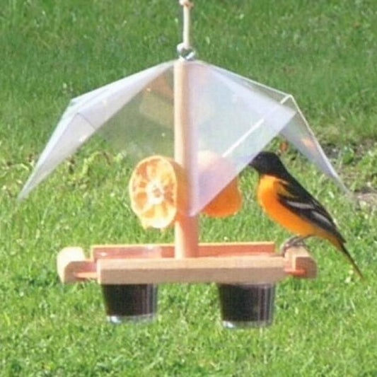 Oriole Feeder Buffet with Cover