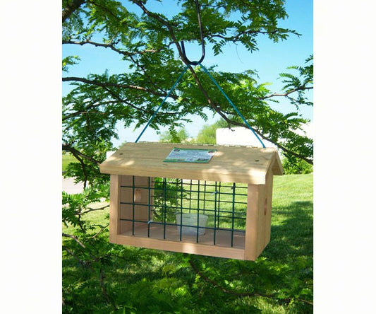 Caged Bird Feeders – WildBirdEssentials.com