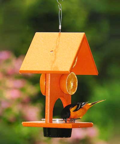 Songbird Essentials Recycled Plastic Fruit & Jelly Feeder