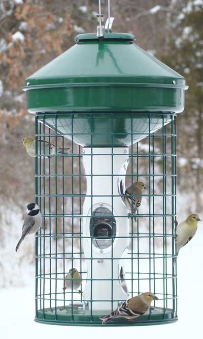 Vari-Crafts Caged Avian Mixed Seed Bird Feeder,