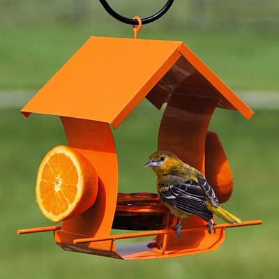 Woodlink Metal Six Station Oriole Feeder, Orange