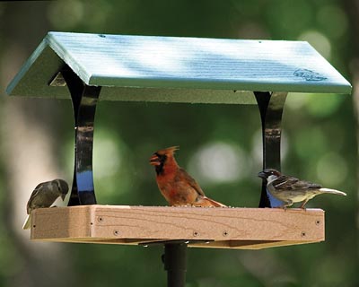 Woodlink Going Green Fly Through Bird Feeder