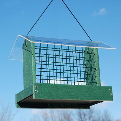 Woodlink Going Green Peanut or Large Suet Cake Feeder, Green