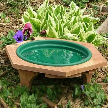 Songbird Essentials Mini Garden Bird Bath Green